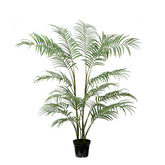 Palmera Areca en Maceta 180 cm