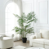 Areca Palm Tree in Pot 180 cm