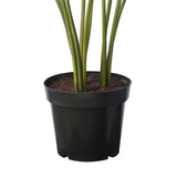 Areca Palm Tree in Pot 120 cm