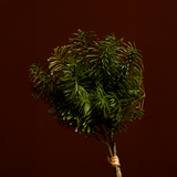Small Pine Bouquet