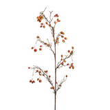 Rosehip Branch