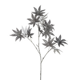 Tallo de rama de arce