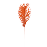 Cycas Foliage