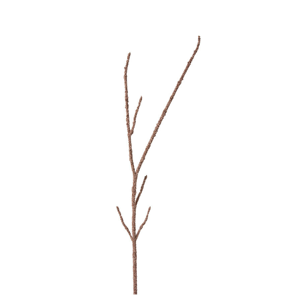 Branche