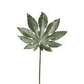 Glittering Aralia Leaf