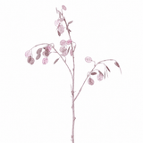 Metallic Lunaria Foliage