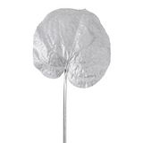 Metallic Alocasia Leaf Christmas