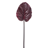 Tallo de helecho H90