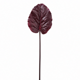 Galaxy Leaf