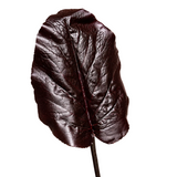 Galaxy Leaf