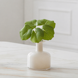 Bouquet di Foglie di Galax