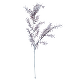 Ramo di Sedum smerigliato H76