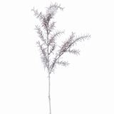 Ramo di Sedum smerigliato H76