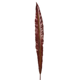 Fern Leaf