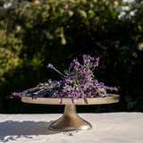 Wonder Medium Format Decorative Tray