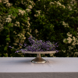 Wonder Medium Format Decorative Tray