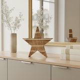 Large Star Decoration