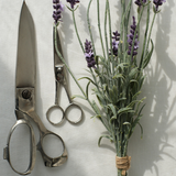 decorative scissors