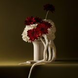 Vase Grow Small Format