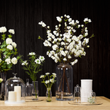 Vase Scene Small Format