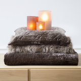 Photophore One Medium Format