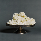 Snowy Rose Stem Christmas