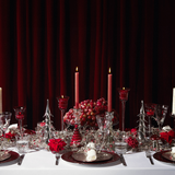 Clips Bayas y Nochebuenas NOEL