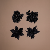 Clips Baies et Poinsettias Noir