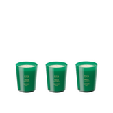 Bougies Parfumées Figue Sauvage