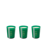 Scented Candles Wild Fig