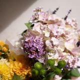 Lilac Stem Small Size