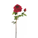 Gambo aperto di Rose David