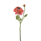 Nora open buttercup stem