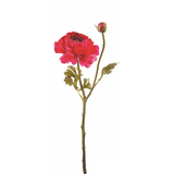 Nora open buttercup stem
