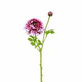 Nora open buttercup stem