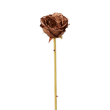 Chiuso Rose Leslie Rod