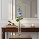 Delphinium stem in buds