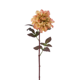 Tallo de dalia Mayan