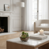 Succulent Sudum in round terrarium