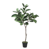Ficus en maceta 165cm