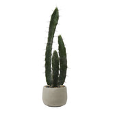 Cactus en maceta de cerámica 64cm
