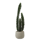Cactus in a ceramic pot 64cm
