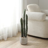 Cactus in vaso di ceramica 80cm