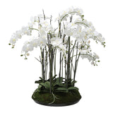 Artificial Orchid Arrangement with Moss 113cm