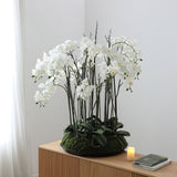 Artificial Orchid Arrangement with Moss 113cm