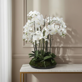 Artificial Orchid Arrangement with Moss 90cm