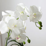 Artificial Orchid Arrangement with vase and bear grass 29cm