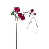 Rama de rosas que cae
