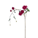 Drooping Stem of Roses