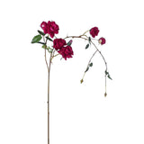 Ramo di rose che cade